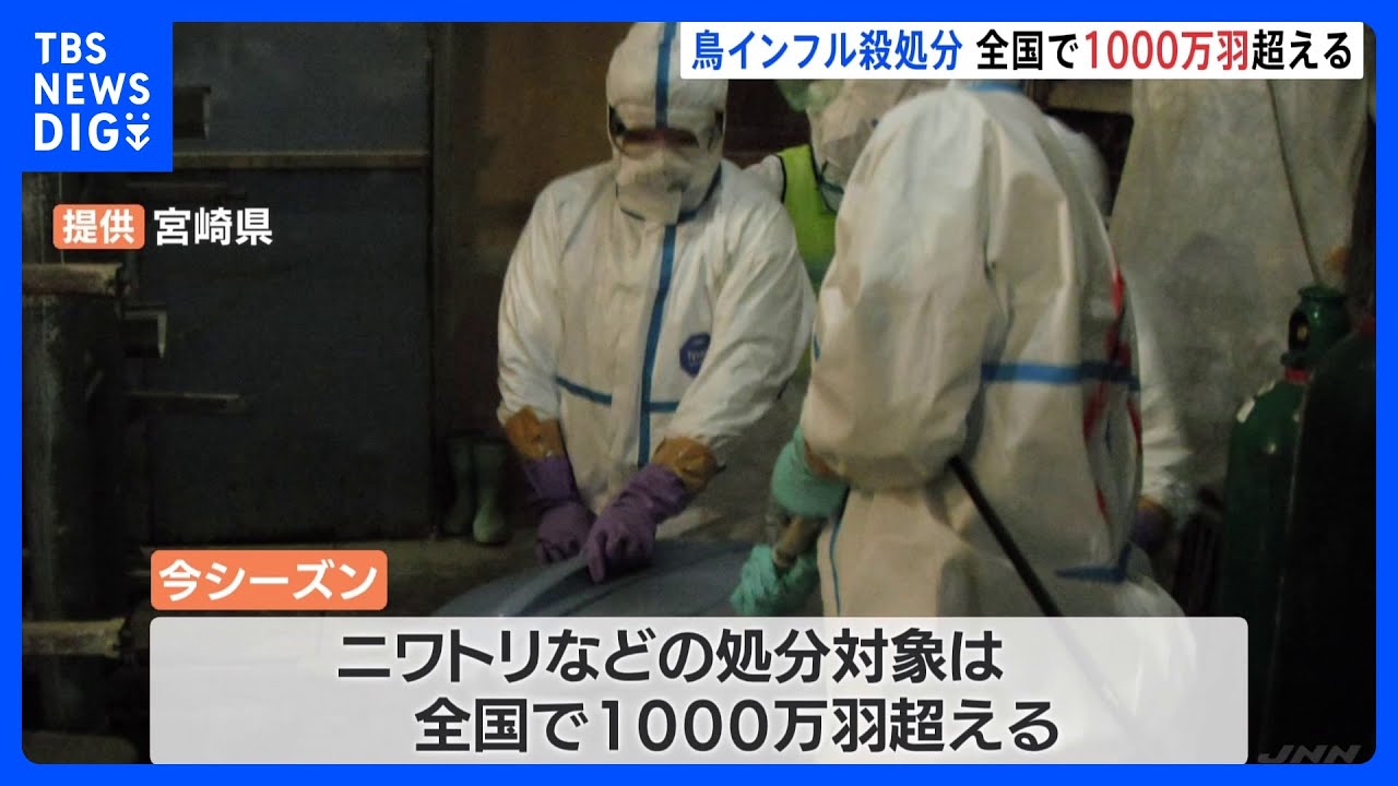 全国での殺処分1千万羽超に　宮崎県の養鶏場で鳥インフル感染疑い　約10万羽の殺処分開始｜TBS&nbsp;NEWS&nbsp;DIG