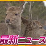 【ニュースライブ　1/31(火) 】奈良のシカに独自遺伝子型／大阪モデル黄色信号に引き下げ／９歳の囲碁・藤田初段がプロ初勝利／警官が当直中に飲酒や喫煙繰り返す／重さ１０キロの巨大ヒラメ　他【随時更新】