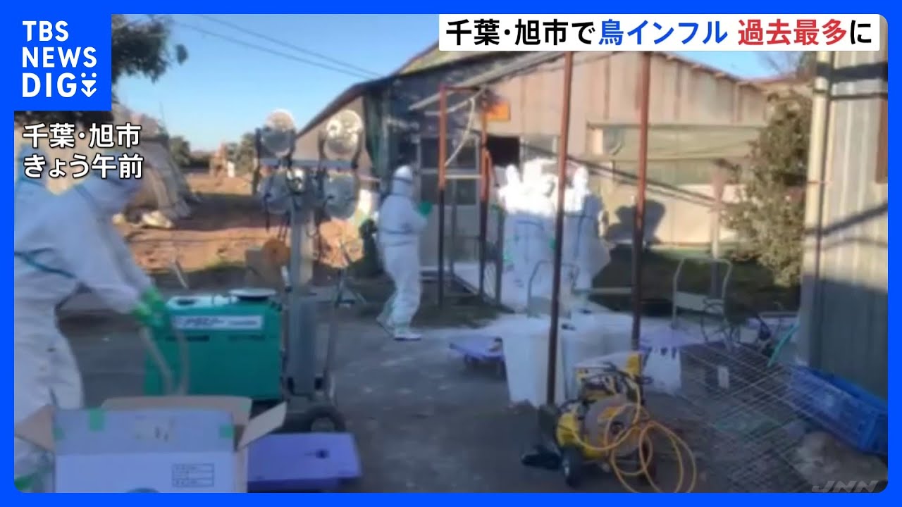 千葉・旭市で鳥インフルエンザ　約1万羽の殺処分開始　全国での発生件数は過去最多に｜TBS&nbsp;NEWS&nbsp;DIG
