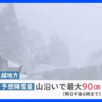 10年に一度の“最強寒波”　各地で大雪の影響…倒木直撃で男性が死亡　岡山県では｢顕著な大雪情報｣【news23】｜TBS NEWS DIG