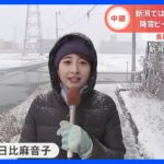 “10年に1度”の最強寒波　降雪量90センチ予想も…日比アナウンサーが現地中継｜TBS NEWS DIG