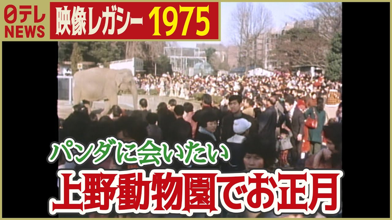 【昭和のお正月】1月3日の新宿の街・上野動物園の人混み