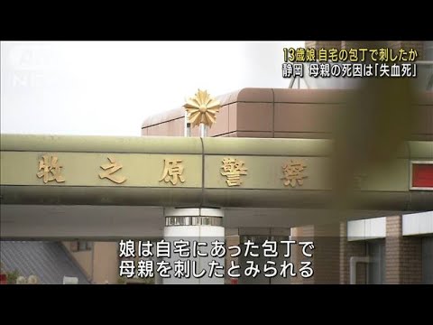 13歳娘 自宅の包丁で刺したか　40代母親殺害　静岡(2023年1月19日)