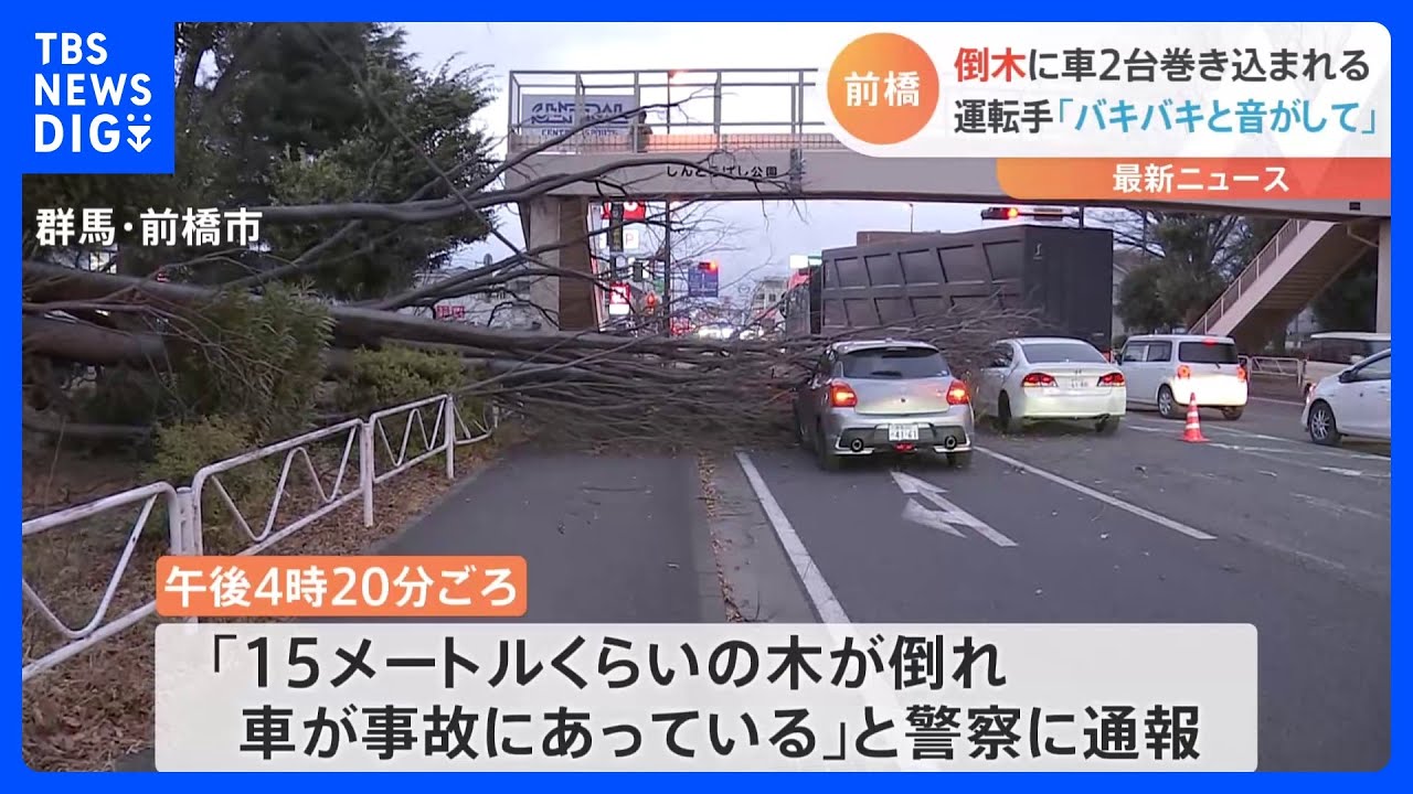 「15メートルくらいの木が倒れ、車が事故にあっている」強風で倒木　国道で2台巻き込み　けが人なし　群馬・前橋市｜TBS&nbsp;NEWS&nbsp;DIG
