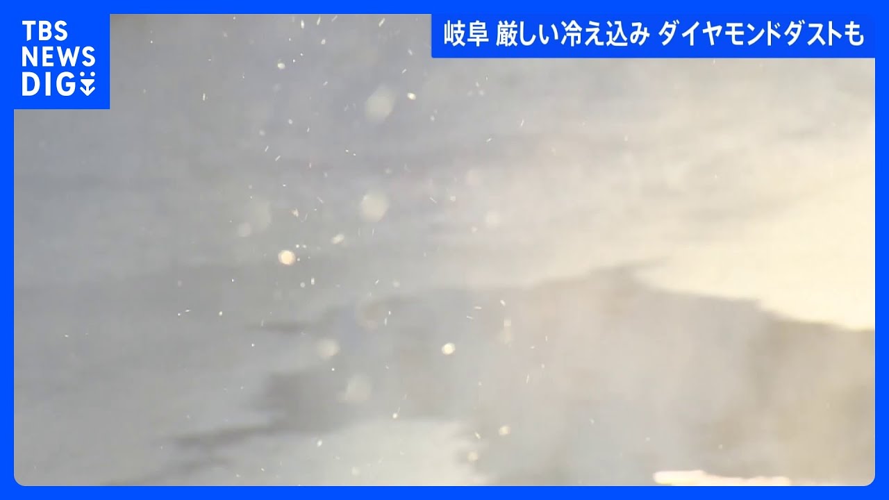 “ダイヤモンドダスト”撮れた!氷点下17.5度で広がる幻想的な光景 岐阜・高山市|TBS NEWS DIG