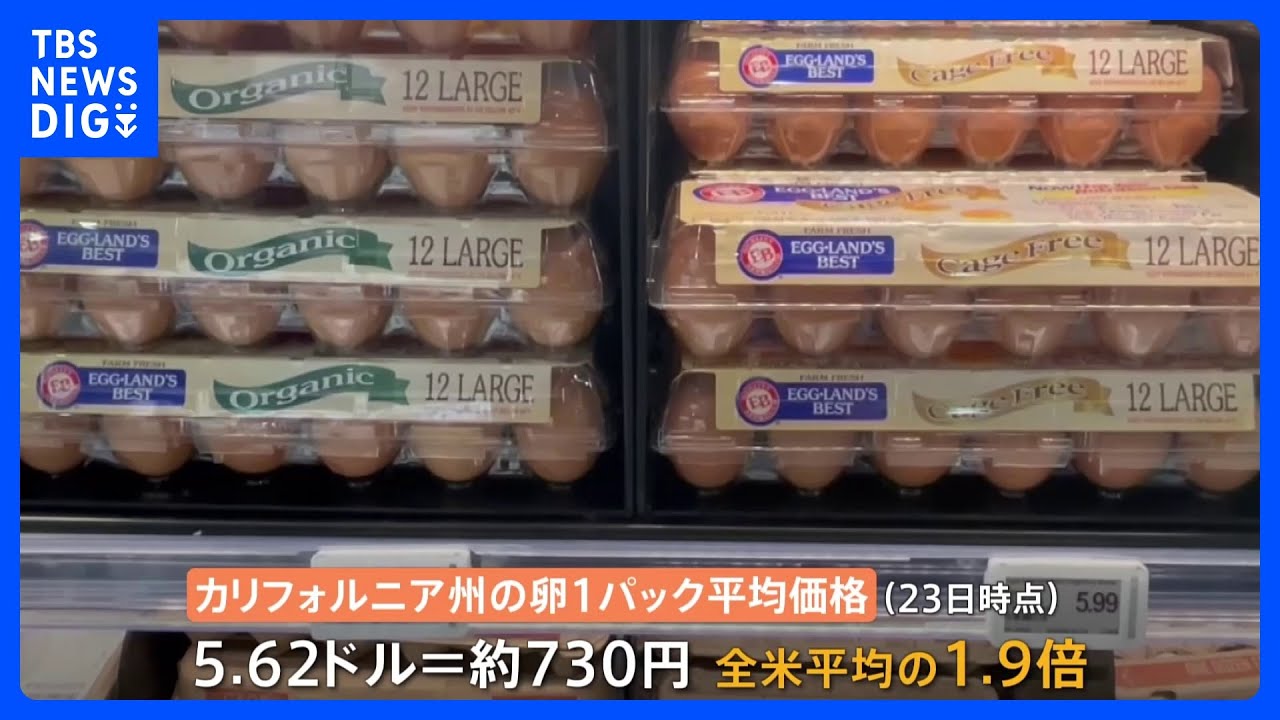 アメリカでも「卵」高騰　1パック730円…“エッグフレーション”の現場は｜TBS&nbsp;NEWS&nbsp;DIG