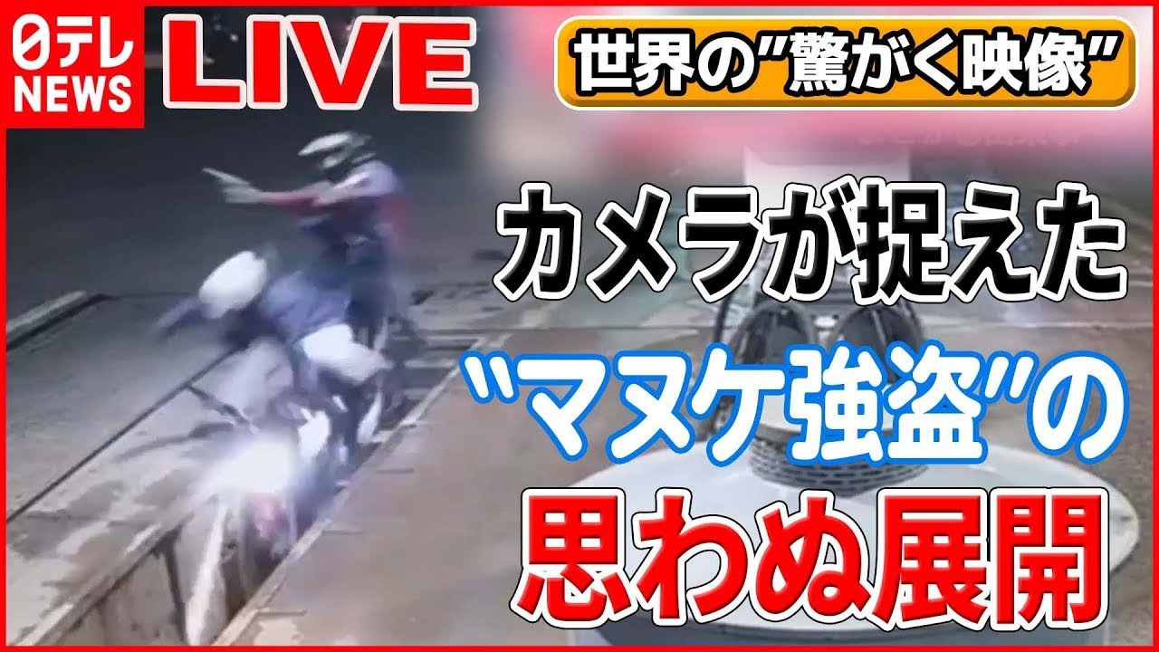 【世界の驚愕映像ライブ】“間抜けな”2人組…思わぬ展開に/真夜中のカーチェイス/ 観光客のカメラを盗むオウム/カンガルと男性が―World Heart Stopping Moments