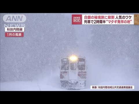 【秘境旅に殺到】白銀の世界を列車で2時間半…“マタギ発祥の地”人気のワケ(2023年1月20日)