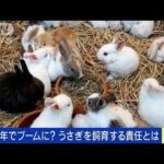 うさぎの学校飼育は残酷？命の大切さをどう学ぶ(2023年1月23日)