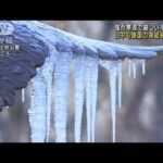 【強烈寒波】噴水の水凍る…東京都心でマイナス2.9度(2023年1月25日)