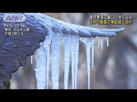 【強烈寒波】噴水の水凍る…東京都心でマイナス2.9度(2023年1月25日)