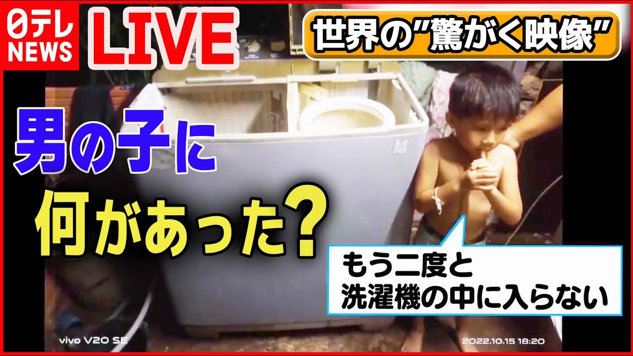 【世界の驚愕映像ライブ】“間抜けな”2人組…思わぬ展開に/真夜中のカーチェイス/ 観光客のカメラを盗むオウム/カンガルと男性が―World Heart Stopping Moments