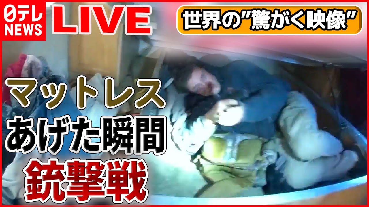 【世界の驚愕映像ライブ】“間抜けな”2人組…思わぬ展開に/真夜中のカーチェイス/ 観光客のカメラを盗むオウム/カンガルと男性が―World Heart Stopping Moments