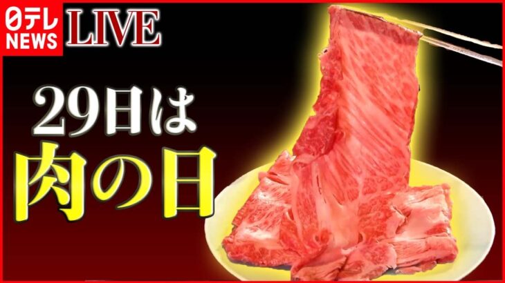 【肉まとめ】20センチ超え！和牛しゃぶしゃぶをひとりじめ/うま味と肉汁が溢れ出す厚切りとんかつ/魅惑の高級焼き肉食べ放題 など “every.グルメ”シリーズ　 (日テレNEWS LIVE)