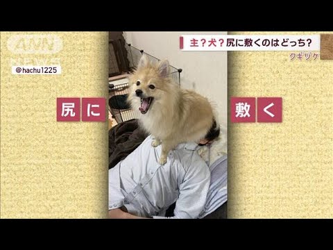 【クギヅケ】主？犬？尻に敷くのはどっち？(2023年1月20日)