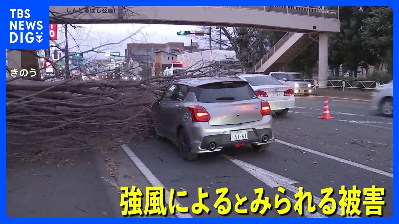“最強寒波”で交通に影響　空の便で233便欠航　強風による倒木被害も｜TBS&nbsp;NEWS&nbsp;DIG