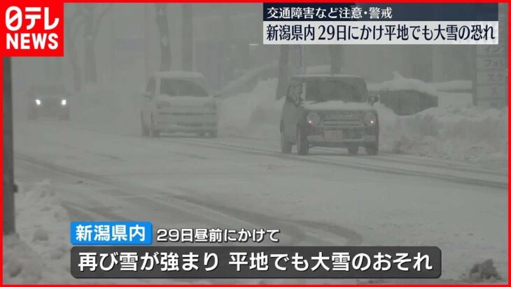 【大雪のおそれ】新潟県内、29日にかけて平地でも　交通障害などに警戒