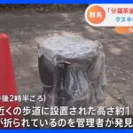 分福茶釜ゆかりの地でタヌキ像3体が破壊される「市民に愛されているのに…」 群馬・館林市の“シンボル”が被害に｜TBS NEWS DIG