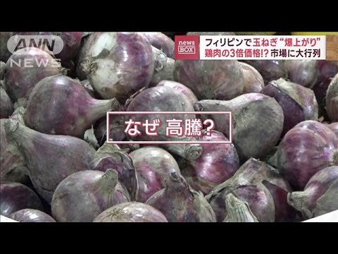 フィリピンで玉ねぎ“爆上がり”鶏肉の3倍！？　市場に大行列　密輸も…(2023年1月12日)