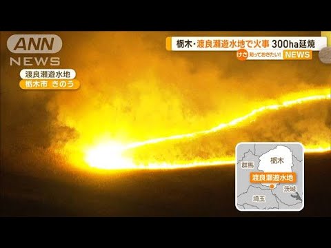 栃木・渡良瀬遊水地で火事　約300ヘクタール延焼か(2023年1月31日)