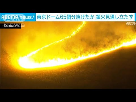 渡良瀬遊水地　300ヘクタール焼けたか(2023年1月30日)