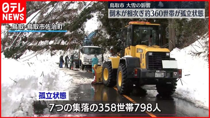 【復旧急ぐ】鳥取市で大雪による倒木相次ぐ　約360世帯が孤立状態に