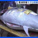 豊洲市場のマグロ初競り　最高値は3604万円　 釣り上げた青森・大間町の漁師は今回が7回目の「一番マグロ」｜TBS NEWS DIG