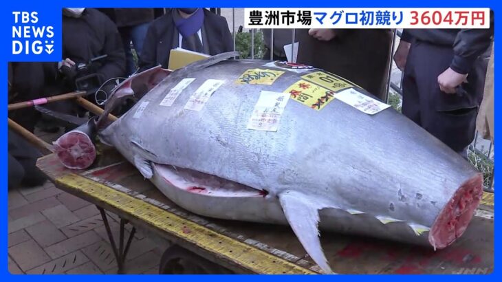 豊洲市場のマグロ初競り　最高値は3604万円　 釣り上げた青森・大間町の漁師は今回が7回目の「一番マグロ」｜TBS NEWS DIG