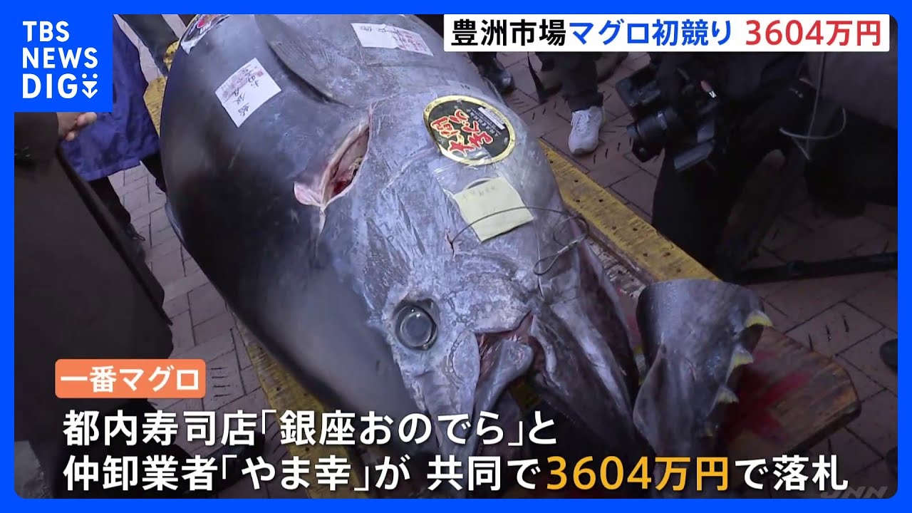 豊洲市場のマグロ初競り　「一番マグロ」は3604万円　去年を2000万円近く上回る　コロナ禍では最高額｜TBS&nbsp;NEWS&nbsp;DIG