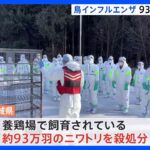 茨城で今シーズン3例目の鳥インフル　93万羽を殺処分｜TBS NEWS DIG