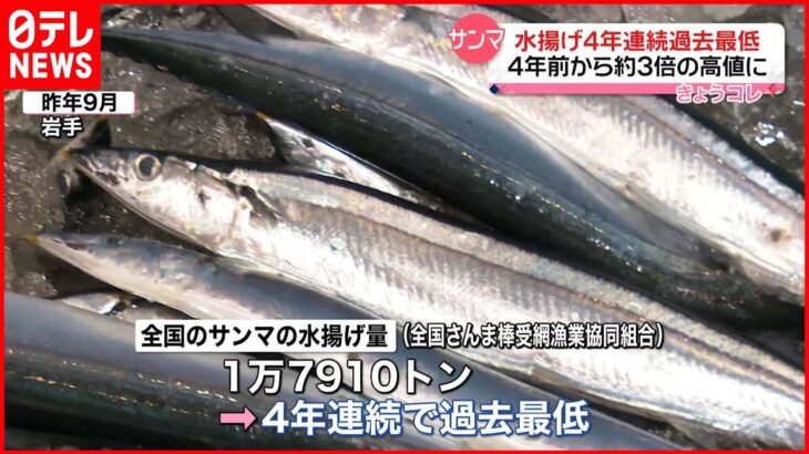 【サンマの水揚げ量】4年連続で過去最低更新 卸売単価は上昇