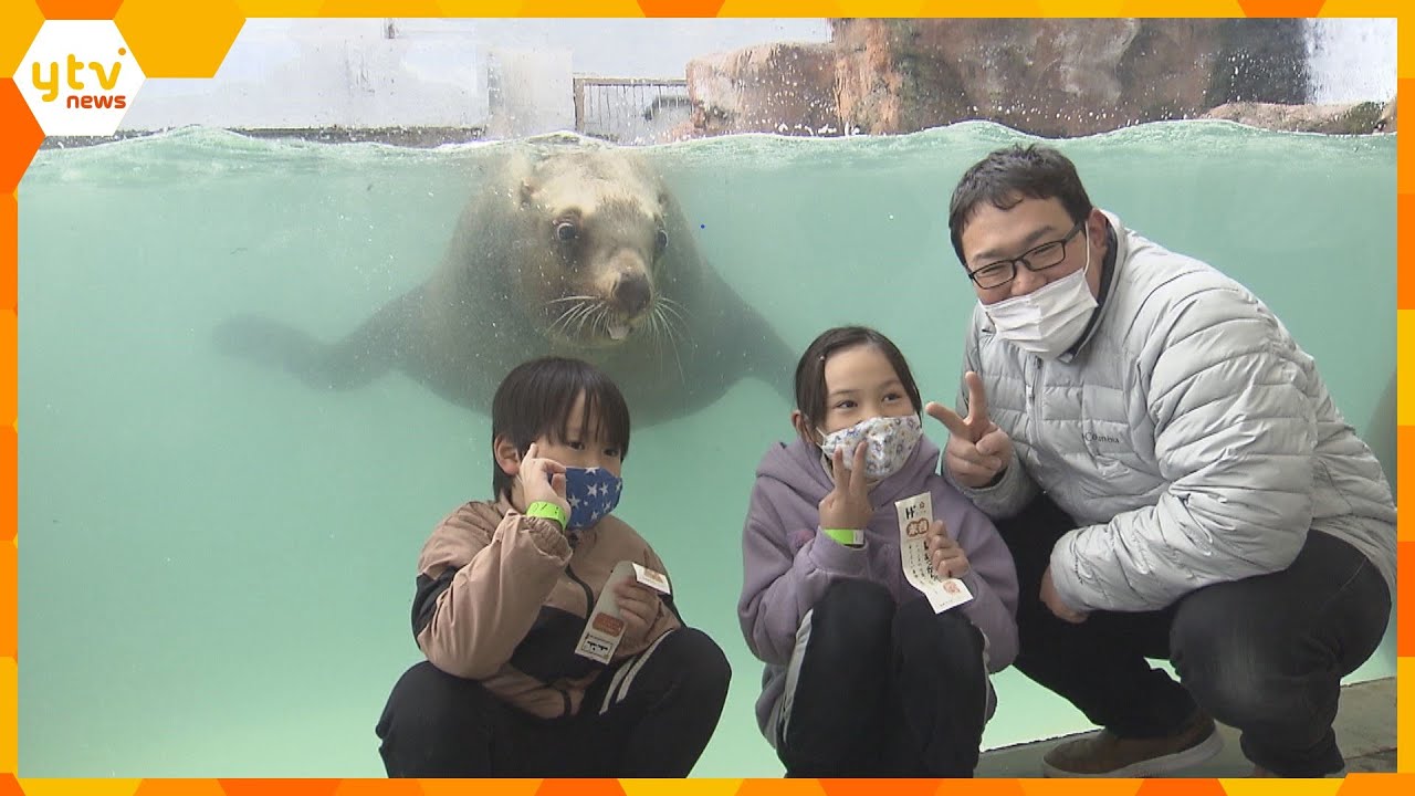 トドと一緒に”初詣”　手水やおみくじなどを楽しむツアー　兵庫・城崎マリンワールド