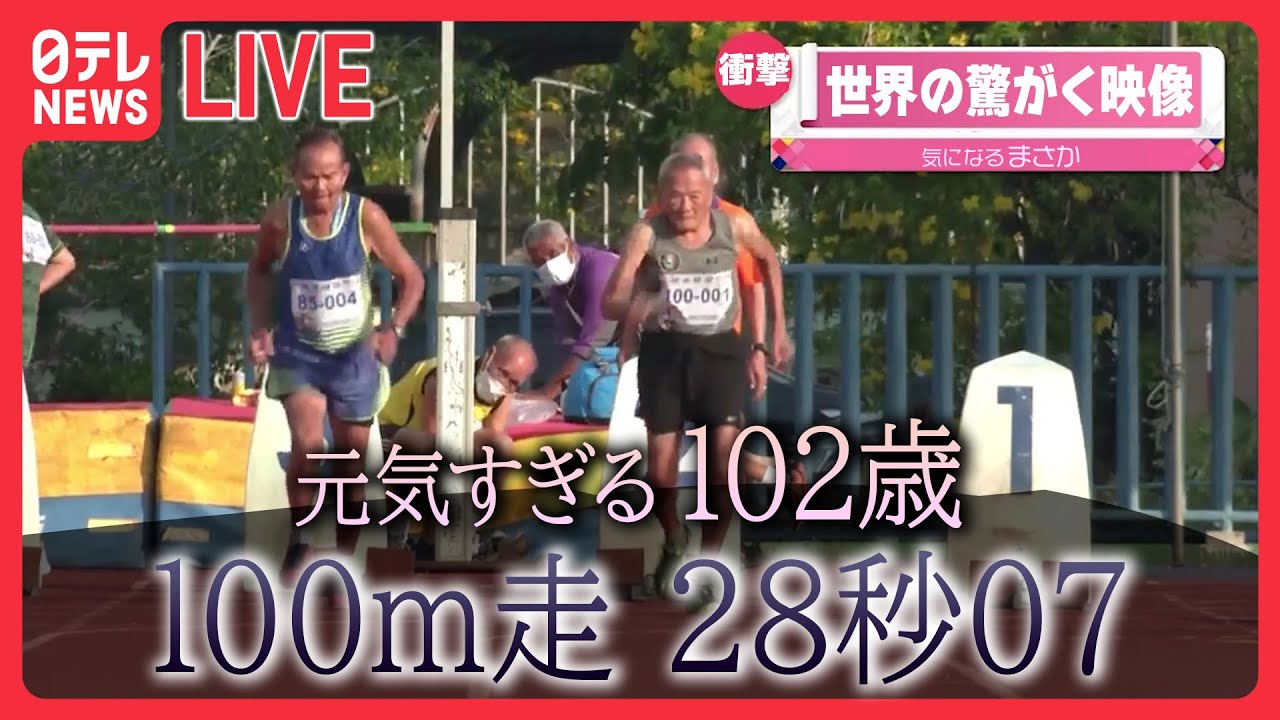 【世界の驚がく映像ライブ】車が“横転”し対向車線に…/2歳の女の子が“宙づり”　絶体絶命…　など―World Heart Stopping Moments (日テレNEWS LIVE)