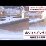 “視界ゼロ”も神ワザ続々　「ホワイトインパルス」除雪車30台が一糸乱れぬ動き(2023年1月4日)