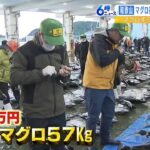 『最高額はメバチマグロ約３７万円』マグロの初競り　和歌山・勝浦漁港での毎年恒例（2023年1月4日）