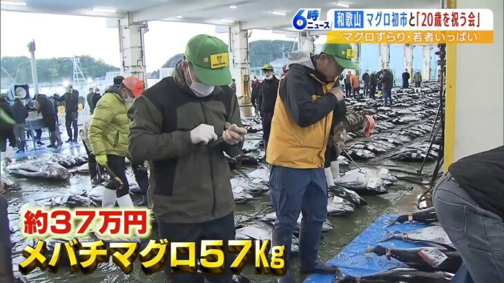 『最高額はメバチマグロ約３７万円』マグロの初競り　和歌山・勝浦漁港での毎年恒例（2023年1月4日）
