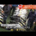 【速報】マグロの初競り　最高値は青森・大間産の212キロで3604万円　東京・豊洲市場(2023年1月5日)