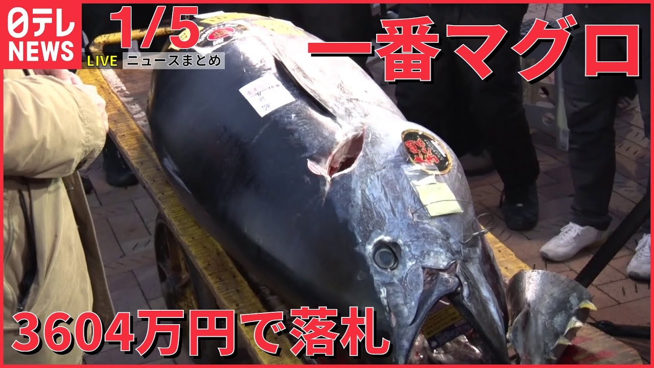 【ニュースライブ】豊洲市場で初競り「一番マグロ」は3604万円で落札 / 広島G7サミットへ…首相官邸にカウントダウンボード設置 など―― 最新ニュースまとめ（日テレNEWS）