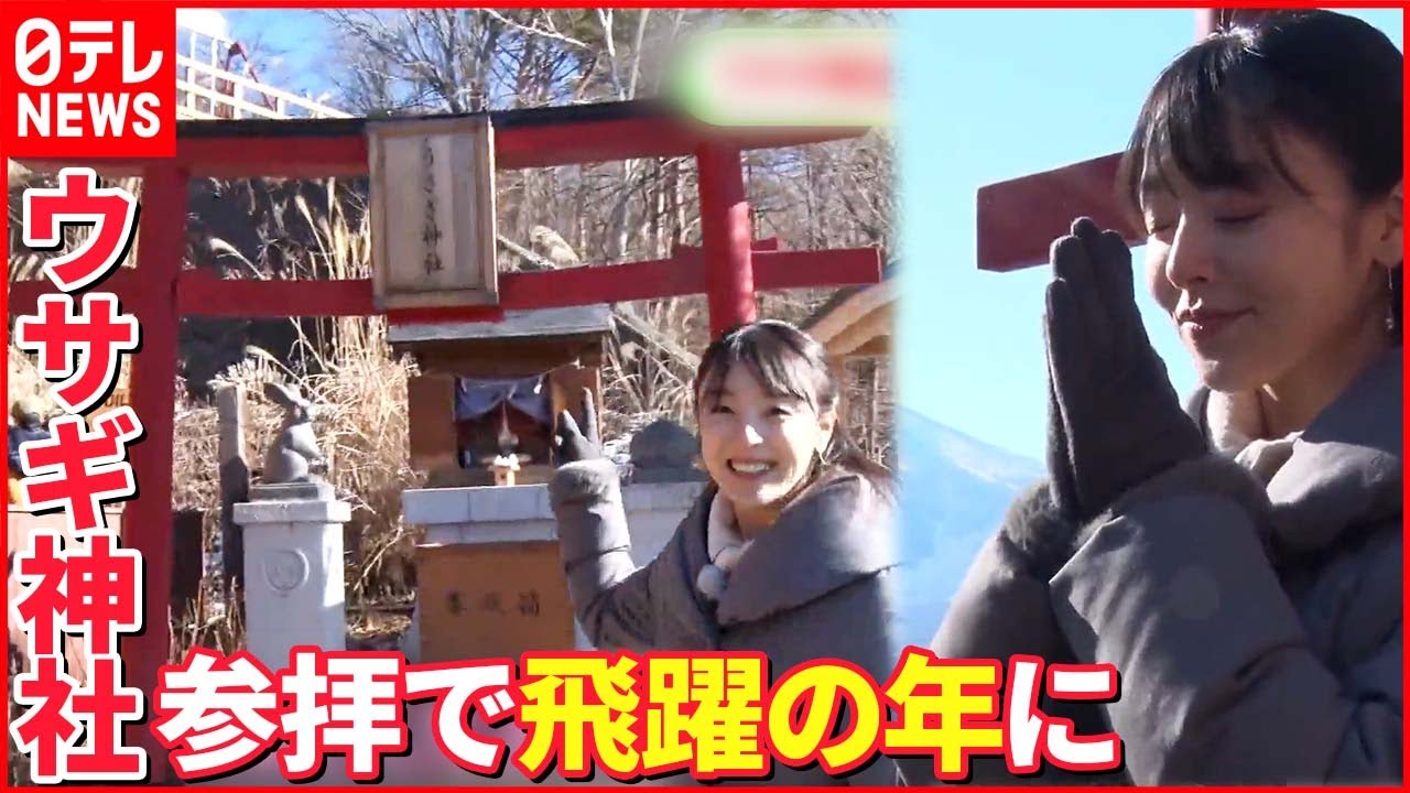 【神社特集】ウサギをまつる神社 狛犬の変わりにコマウサギ？米澤かおりキャスターが取材