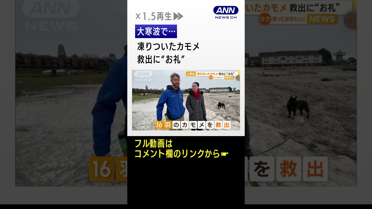 大寒波で…凍りついたカモメ　救出に“お礼”　米NY #shorts