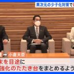 岸田総理 異次元の少子化対策で新会議設置を指示 甘利氏「消費税引き上げ」に言及｜TBS NEWS DIG