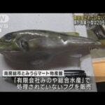 「安くておいしいので…」千葉・南房総市の水産会社　有毒部分が未処理のフグを販売(2023年1月7日)