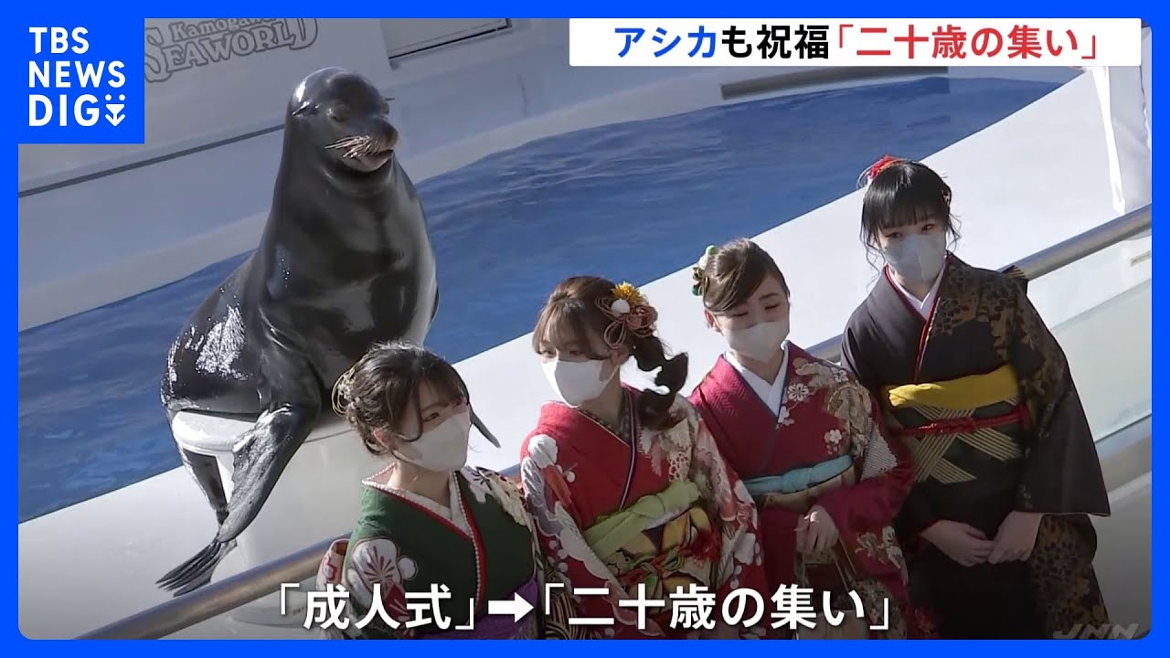 アシカがにっこり祝福　千葉県の鴨川シーワールドで新成人を祝うイベント｜TBS&nbsp;NEWS&nbsp;DIG
