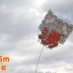ハタチを祝う「大凧」が舞い上がる　縦横５ｍ・重さ４０ｋｇの凧が「夢」を乗せ大空に（2023年1月8日）