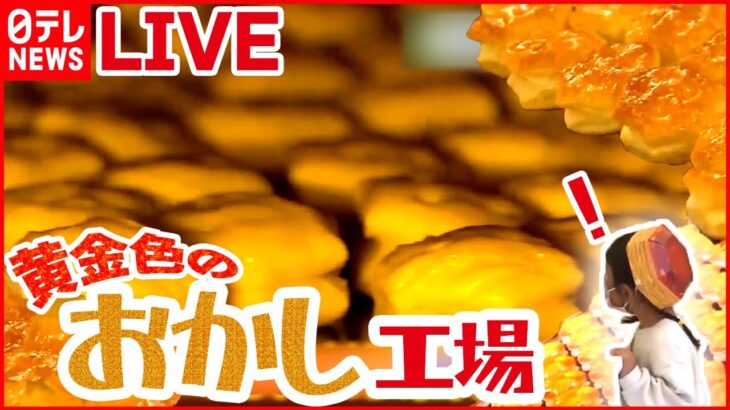 【社会科見学ライブ】サクサクの秘密パイの実工場/お化け屋敷の仕掛け人/東海道新幹線の舞台ウラ2022/東京ドーム秘密エリア　など（日テレNEWS）