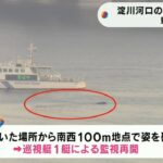 『迷いクジラ』一夜明け依然として大阪・淀川河口付近に…海上保安監部は監視活動再開（2023年1月10日）