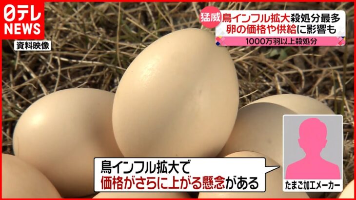 【鳥インフル】“過去最悪”ペースで拡大…卵の価格に影響も
