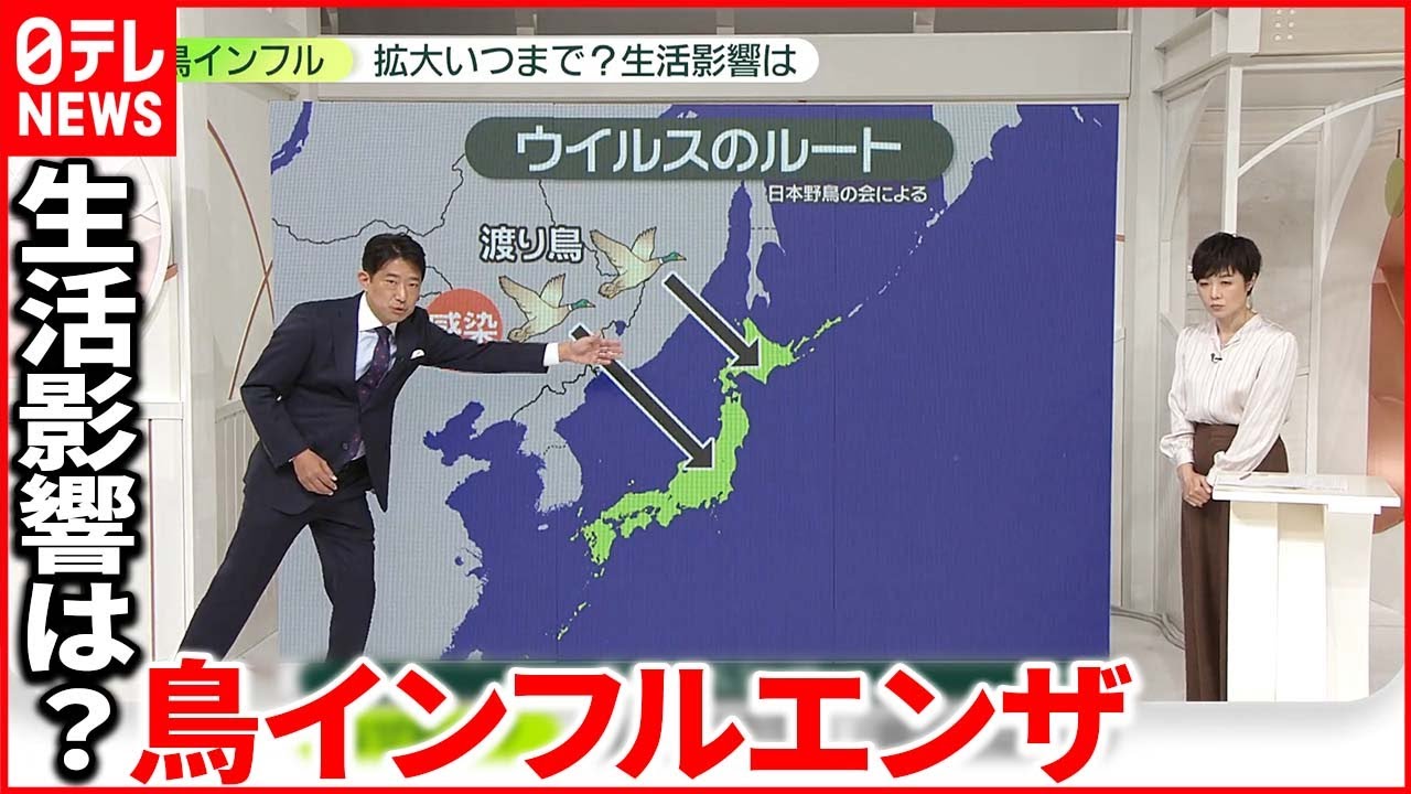 【鳥インフルエンザ】詳しく解説 なぜ流行？拡大いつまで？