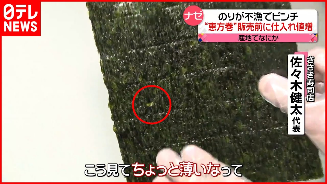 【のり】生産量減少 海の中で異変…魚による食害が影響?