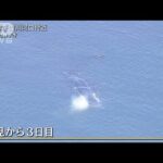 「様子に大きな変化ない」静かに漂う姿も…“迷子クジラ”発見から3日目も大阪湾に(2023年1月11日)